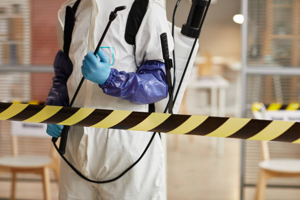 Professional Sewage Cleanup technician working in Junction City, OR